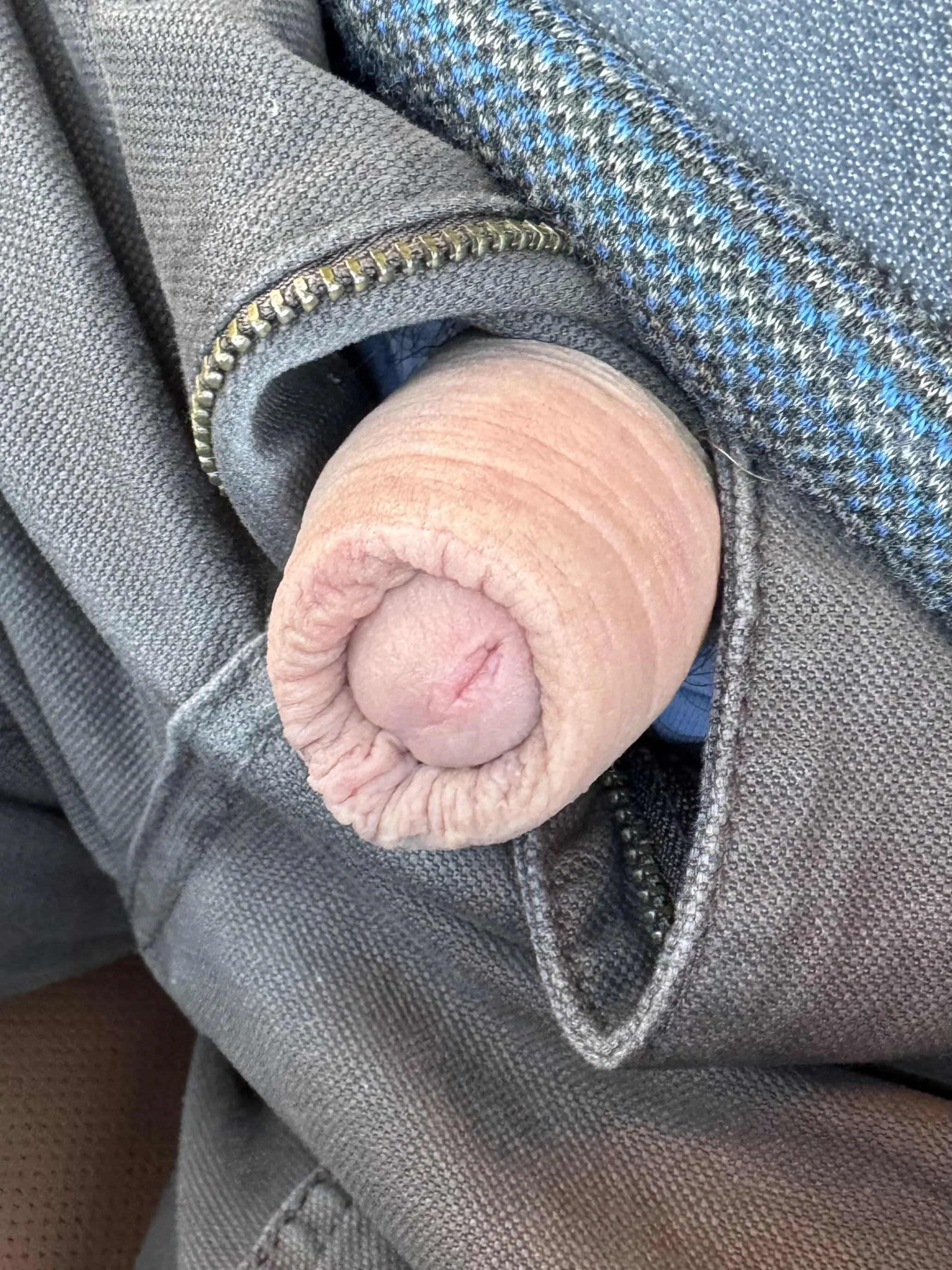 Seated coverage through the fly