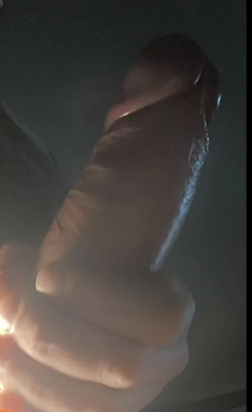 [40] Wer versteckt mich bei der Arschkälte in Freiburg?