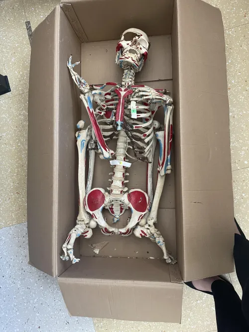 Can you help me identify this body?