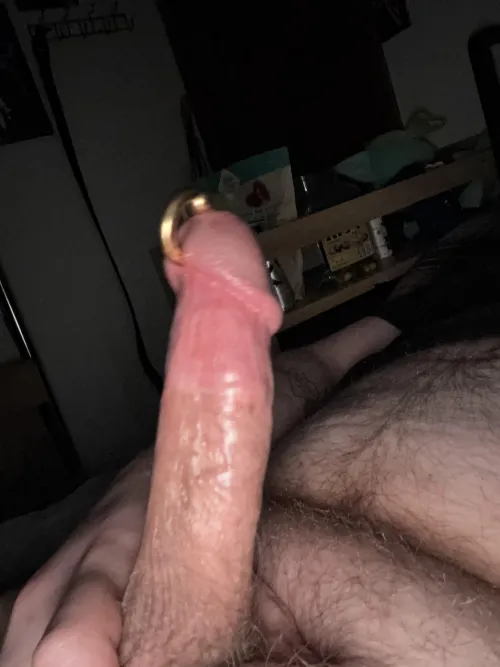 Gold Tipped Prince 😈