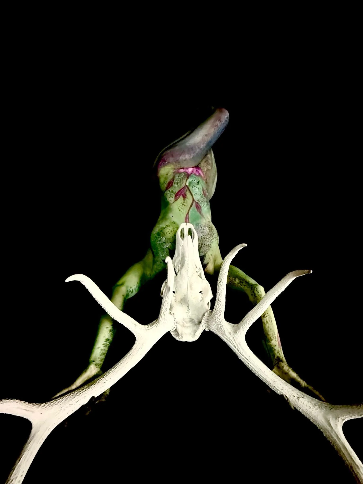 LucidArtDreams - Aewyn