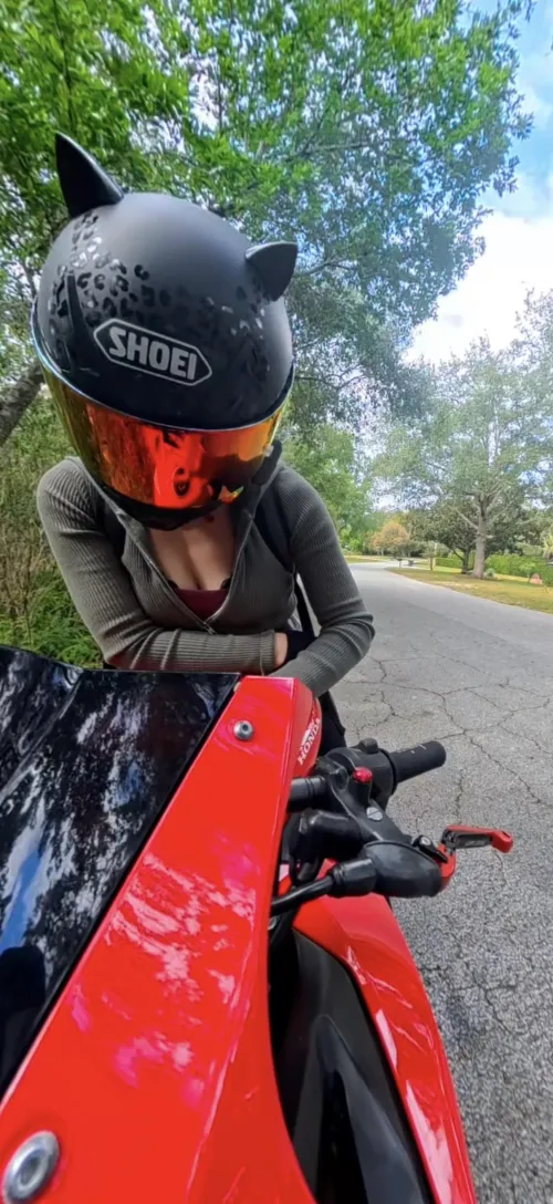 Let me distract you for a minute 👀