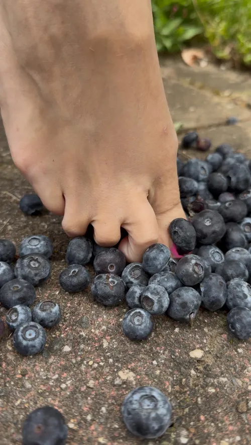 Squishy blueberries 🫐