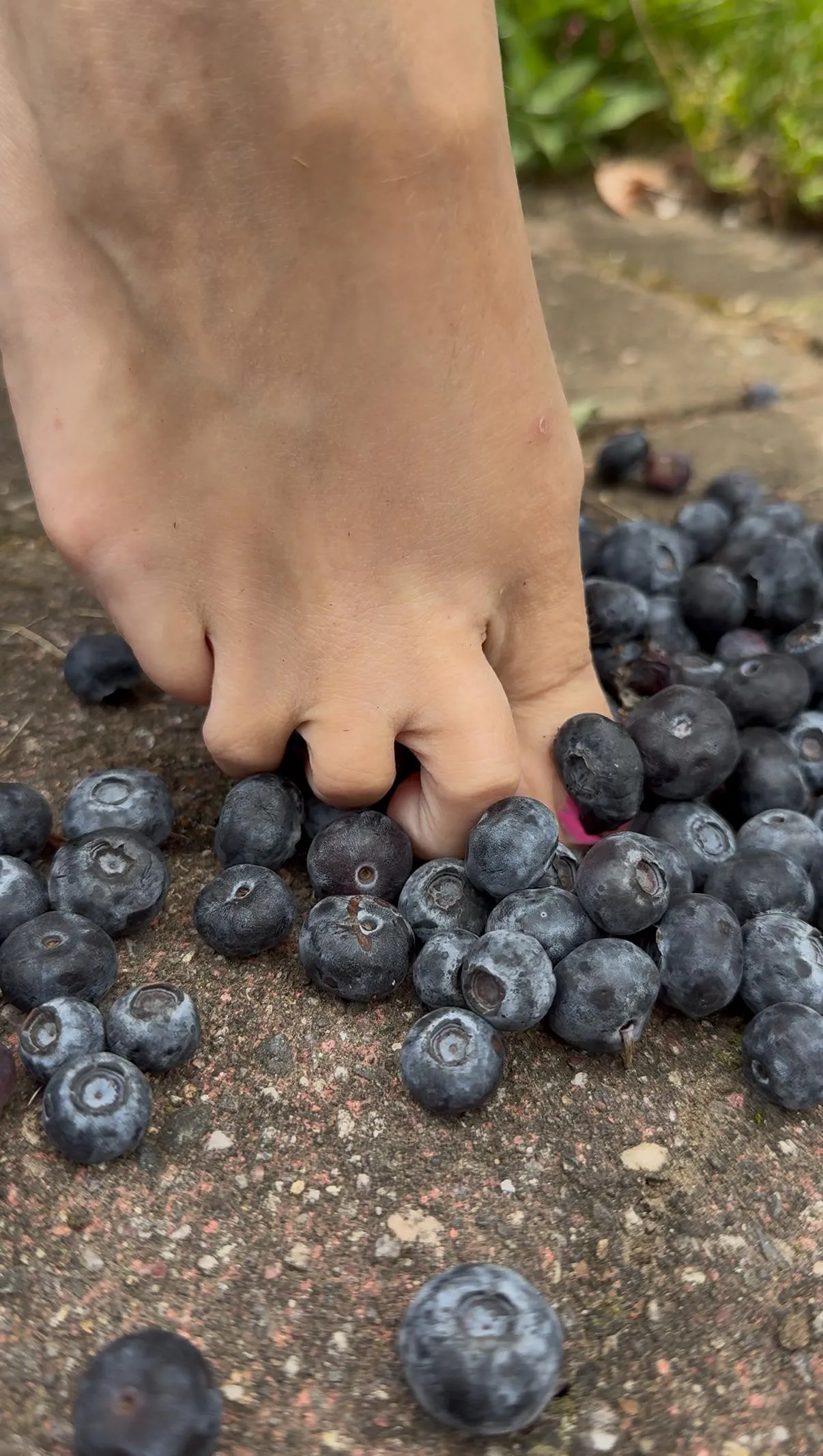 Squishy blueberries 🫐