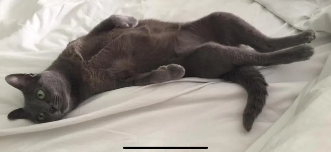 [f] Paint Me Like One of Your French Girls…