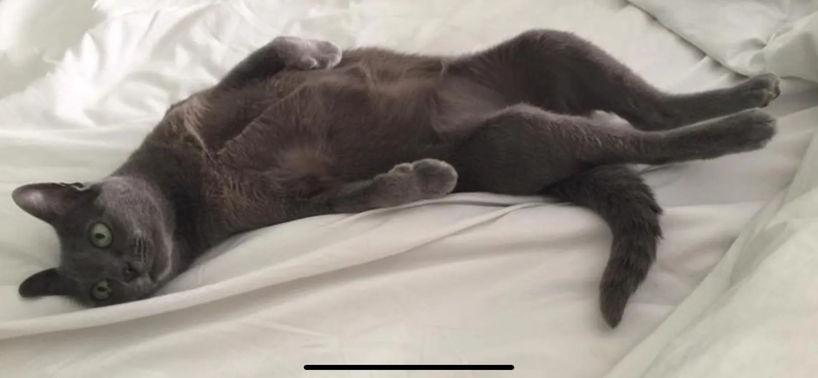 [f] Paint Me Like One of Your French Girls…