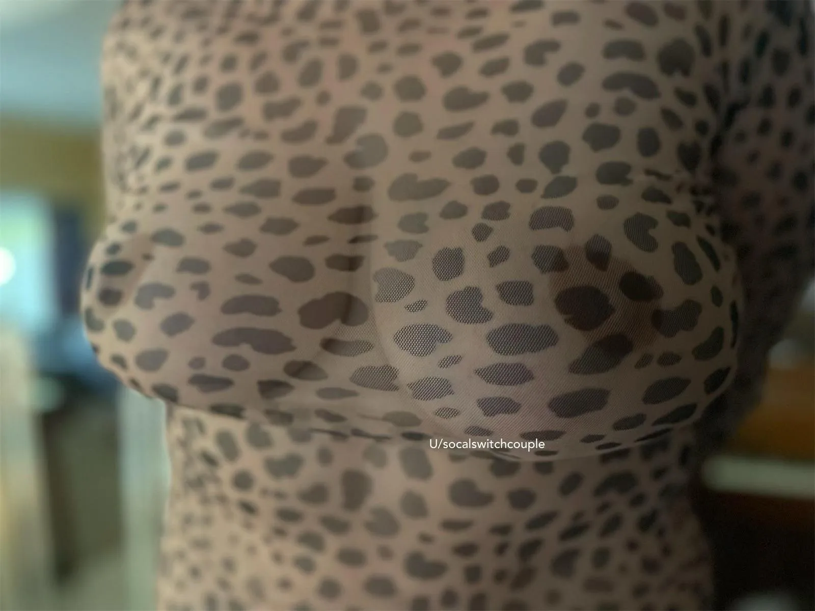 Not a cougar… 😘