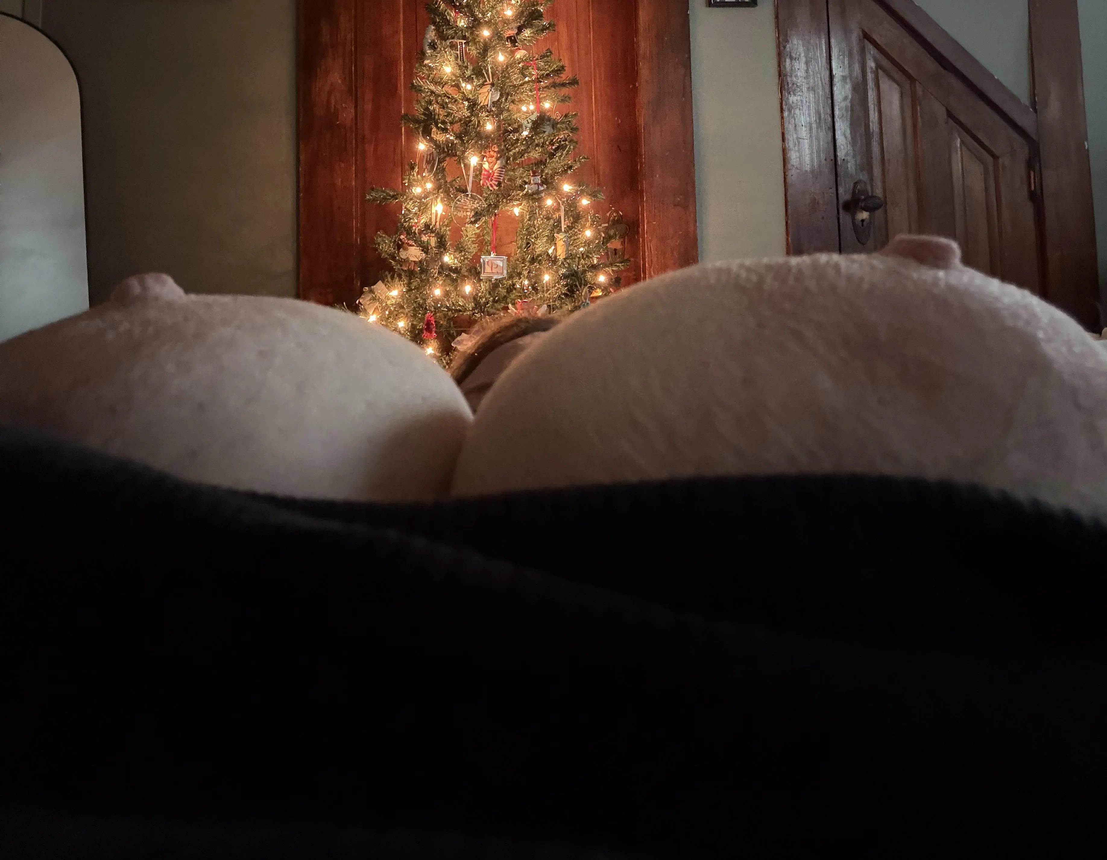 Yes,my tree is up already. No judgment