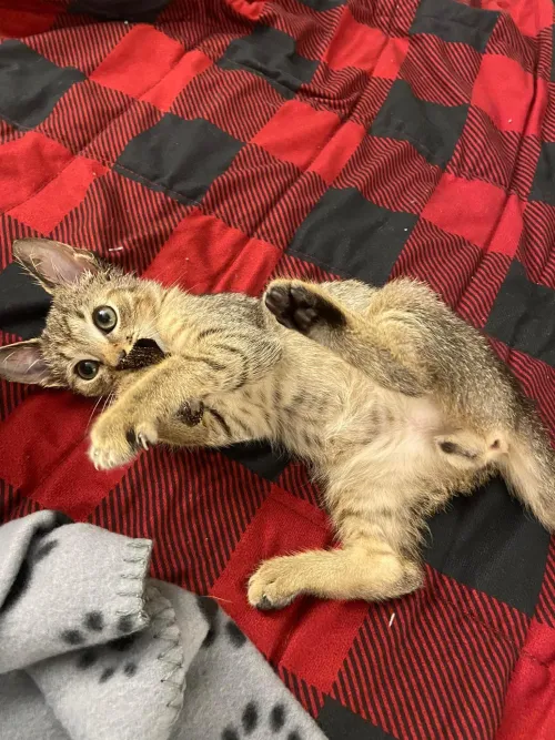 Young and not so de[M]ure in bed. 😉😘😘