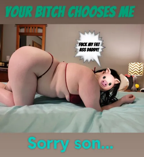 What your dad sees while you're back home watching the cats