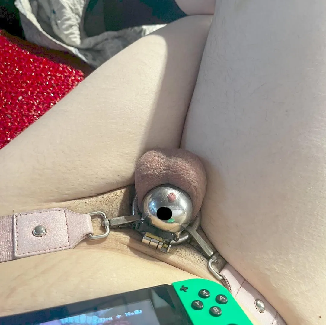 owner says it’s permanent now and made puppy watched her throw her key away 😵‍💫