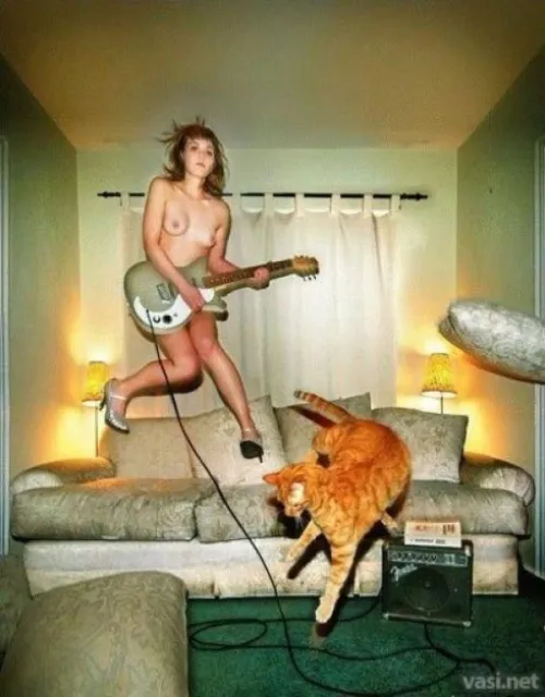 Poor cat, her music must be very uplifting