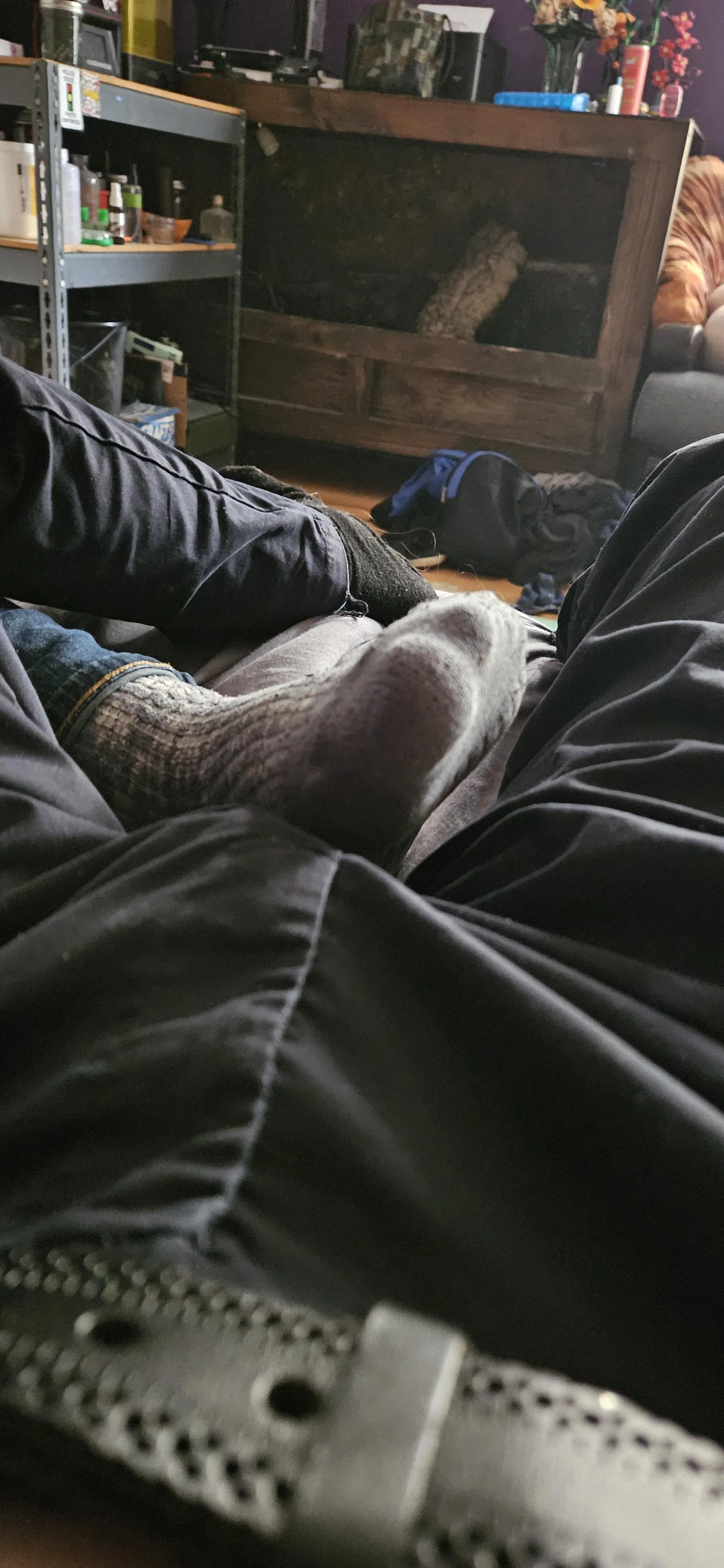 Puppy got paws on the mind (and crotch)