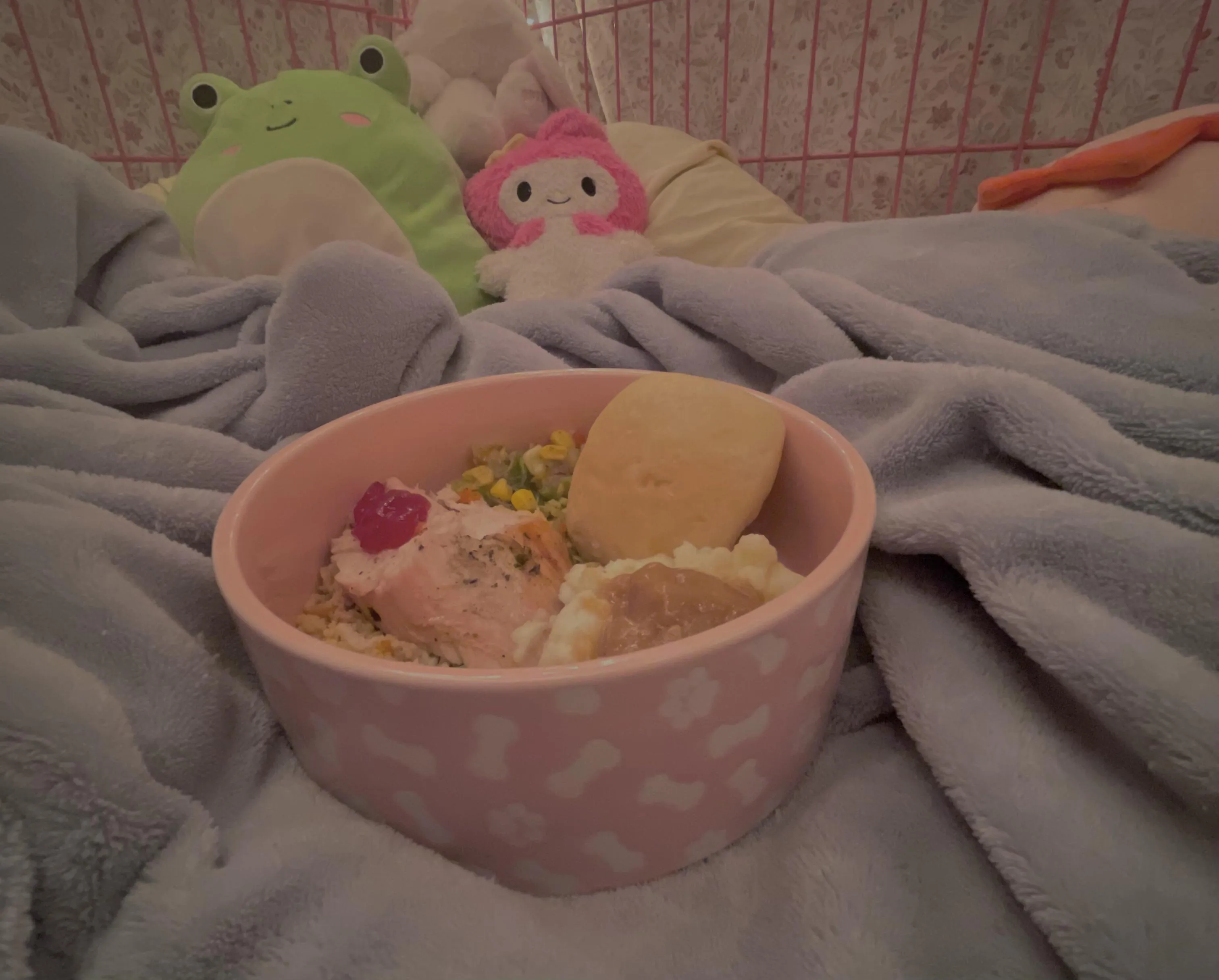 thanksgiving dinner in my puppy bowl