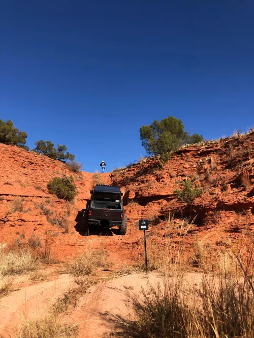 I’d look pretty good as your spotter, wouldn’t I?