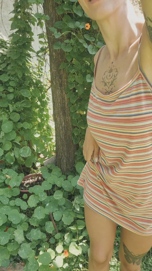 It's definitely not my favorite dress, but I think it looks cute in my garden