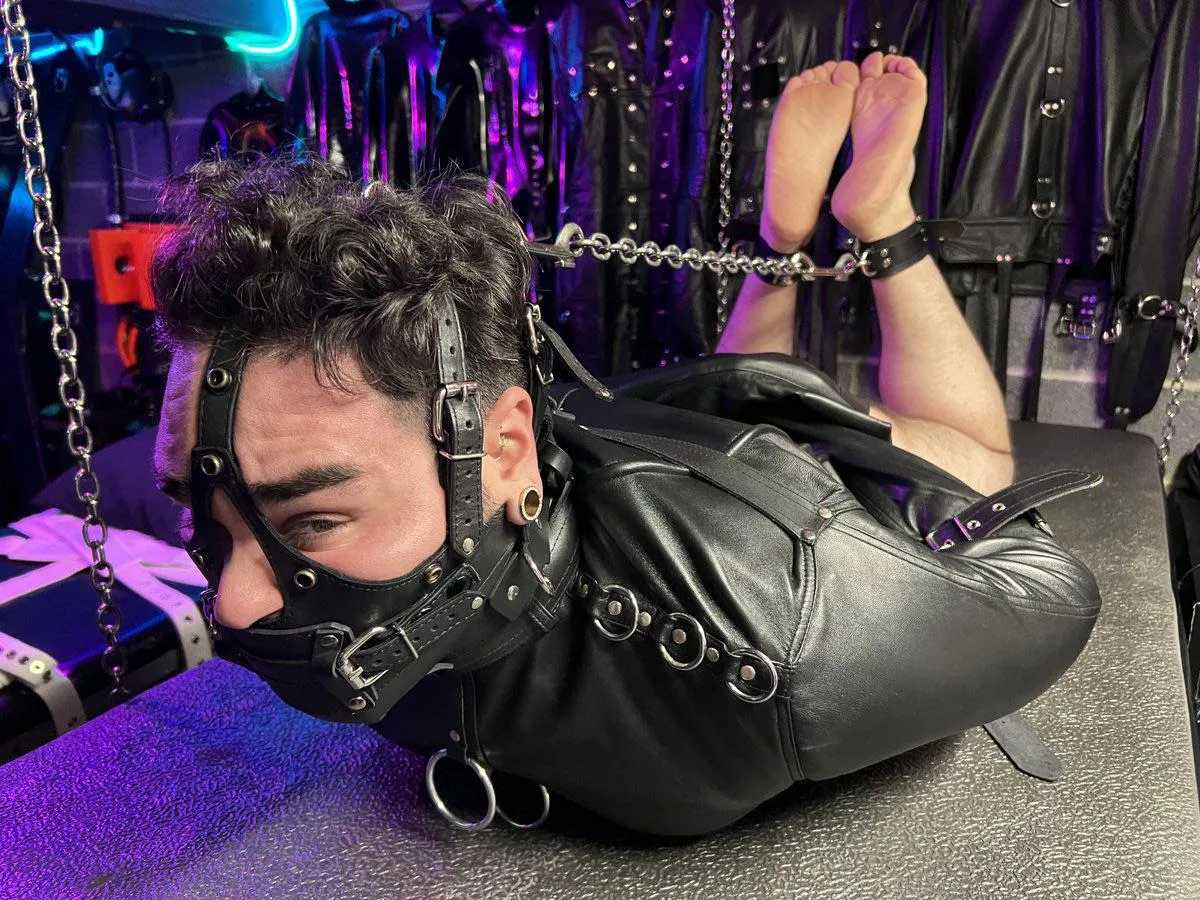 Looking to ask my gf to put me in a position like this I already have the equipment are there any similar images that she can uses as reference like a straight jacket hogtie