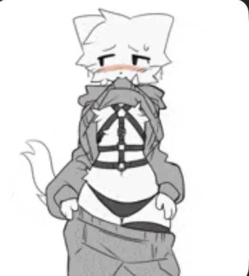 Trying to find a harness like this