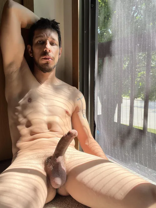 My neighbors must love me