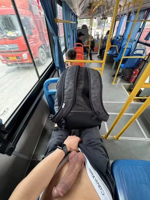 Public Bus