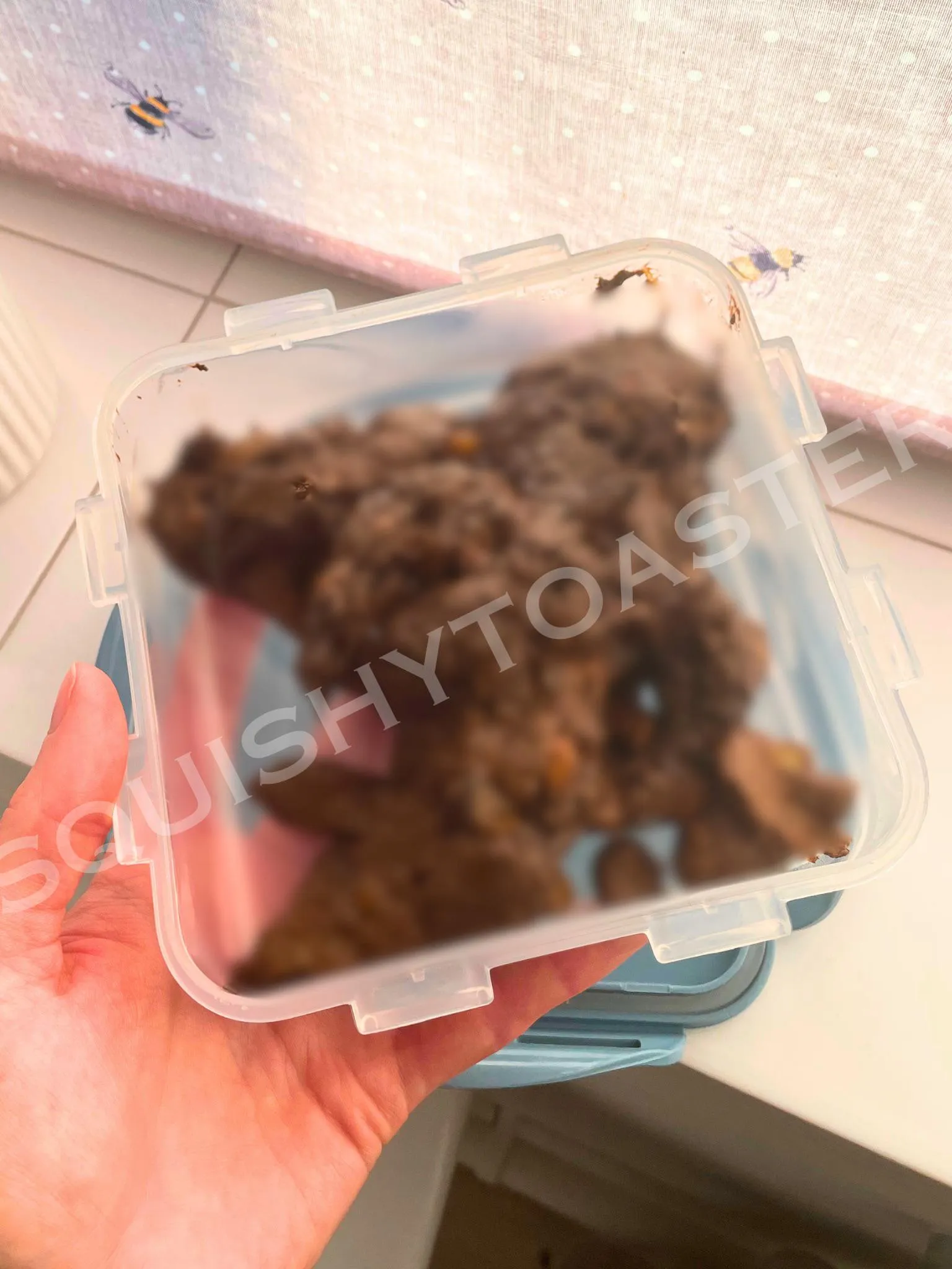 Scat tubs available (UK only 🇬🇧) I have an entire toilet googledrive too 😉🍫 Message me 😈