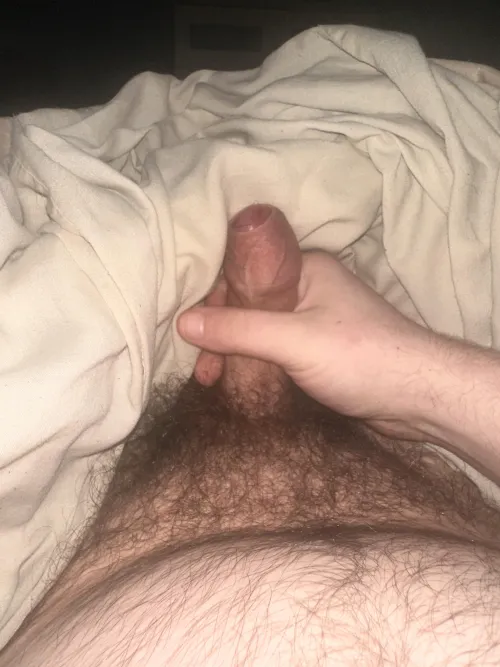 (27) need to cum, anyone want to see?