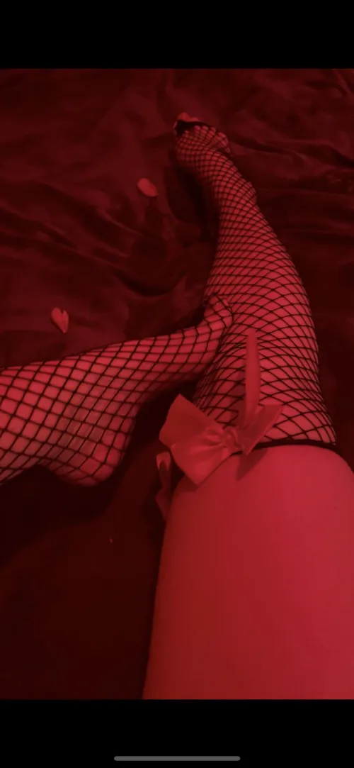 Black fishnets power red bow as a tease