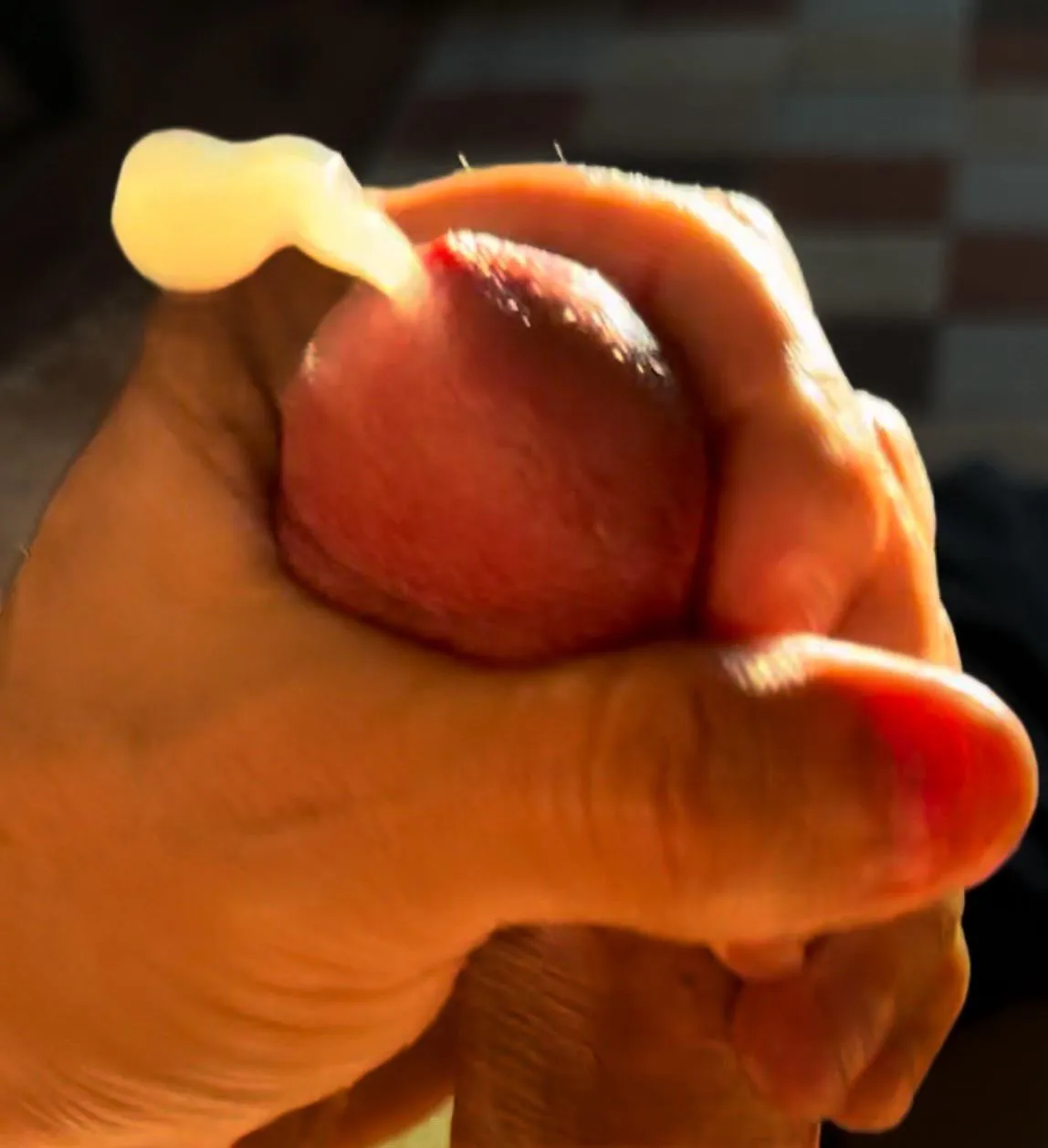 (54) Morning Light Shooter…You catching my thick load in your mouth?