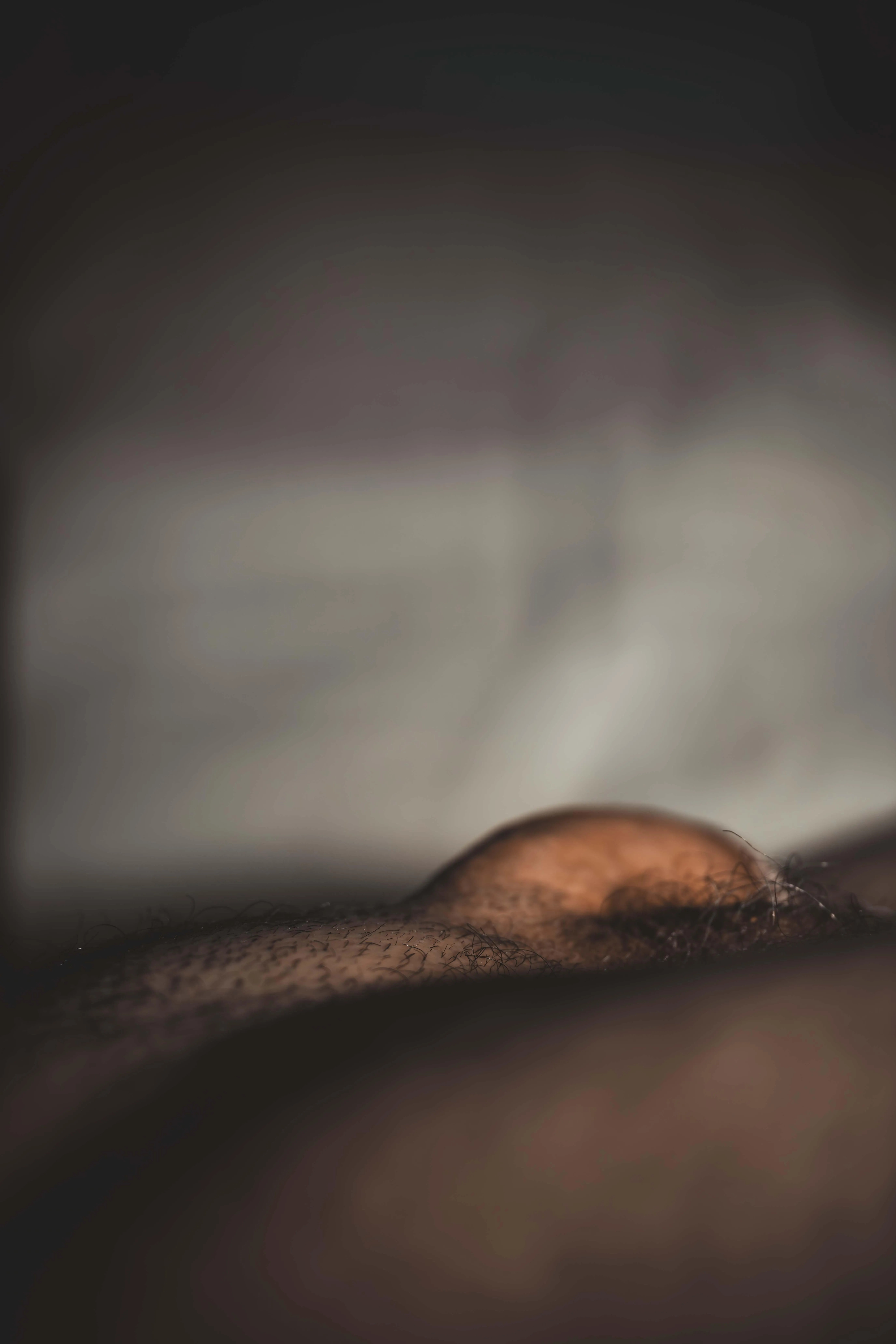 Field under a painted sky