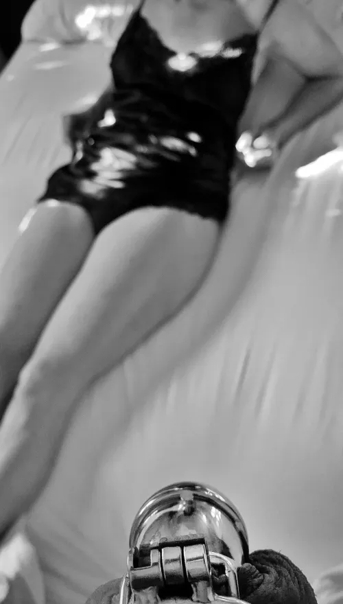 My cuck slave is permanently caged and adoring Me, his Mistress and Keyholder.