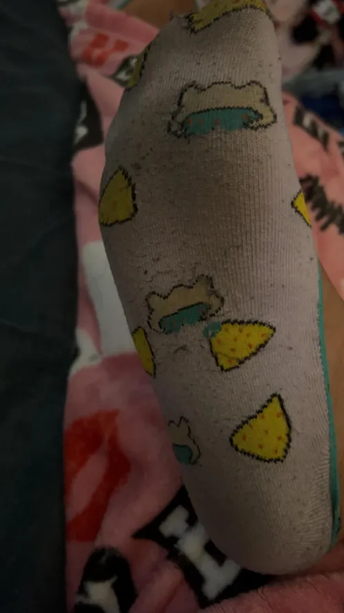 Smelly socks ready to rehome [F]