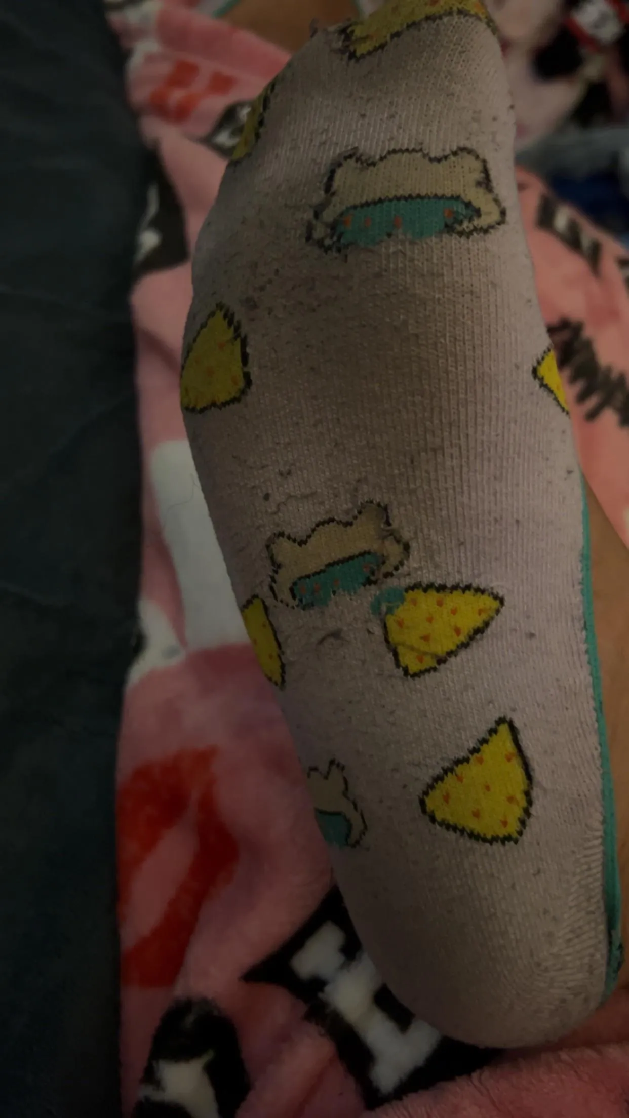 Smelly socks ready to rehome [F]