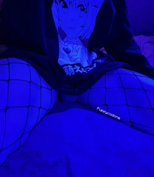 kitty ballz on timeline!!! 🦴⋆🐾°ᶻ 𝗓