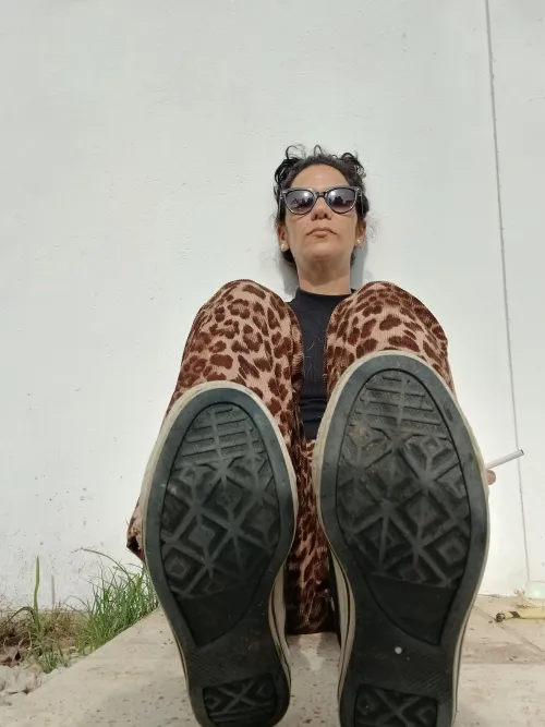 This is how I look at them when they write unintelligent things