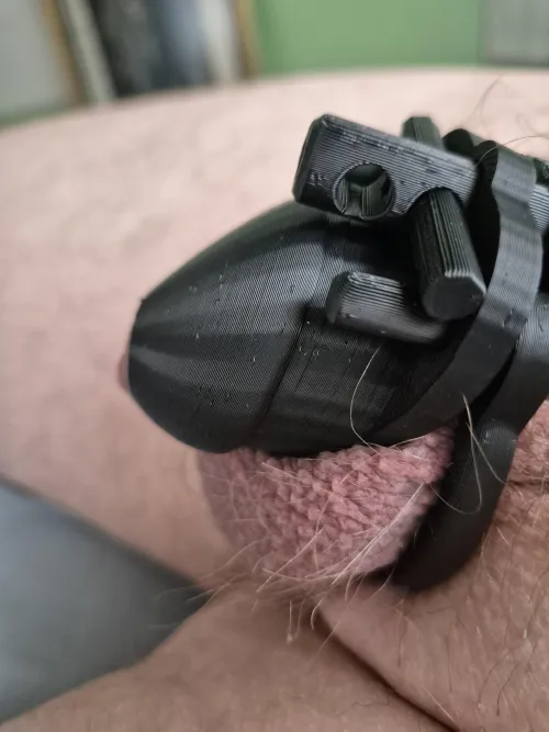 I've never felt so happy as I do now.