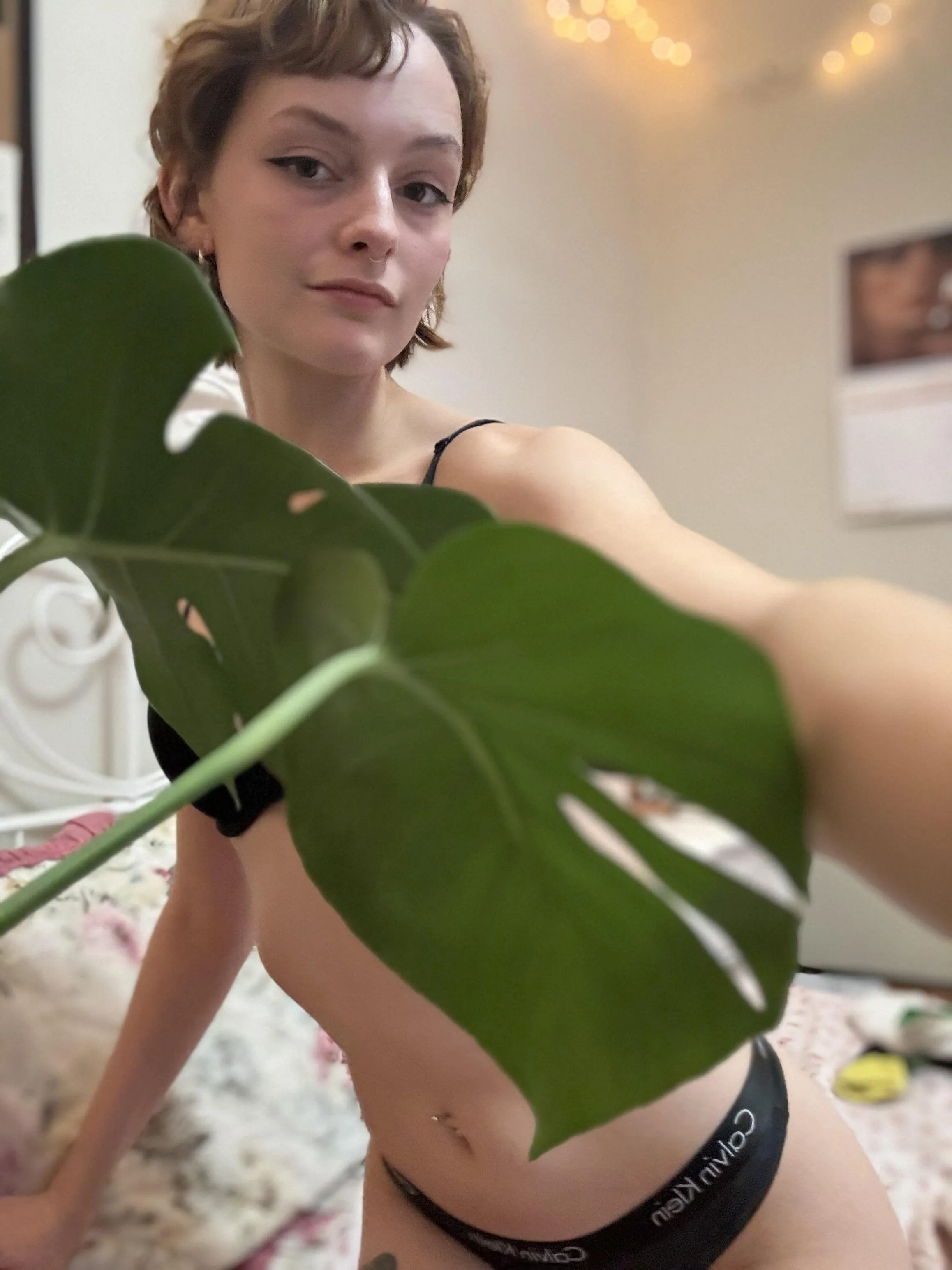 my monstera won’t stop popping out new leaves <3