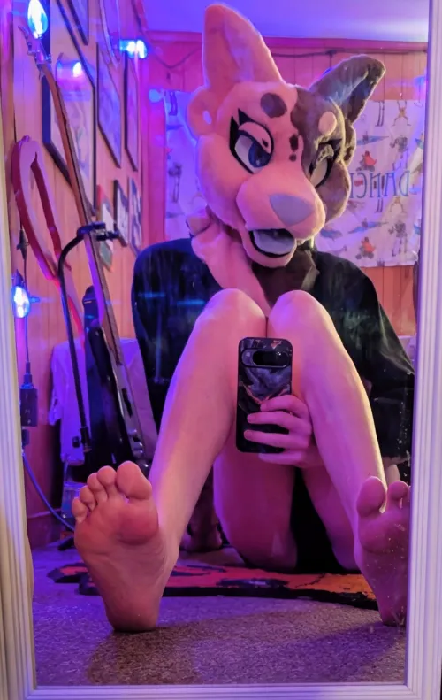 Who doesn't love bingus paws