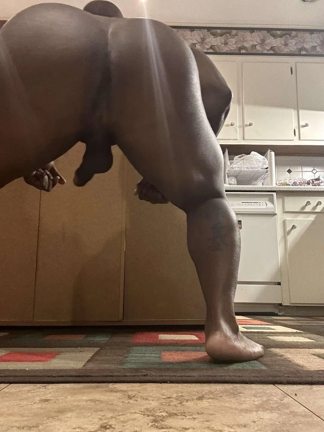 Daddys muscle cunt is so horny