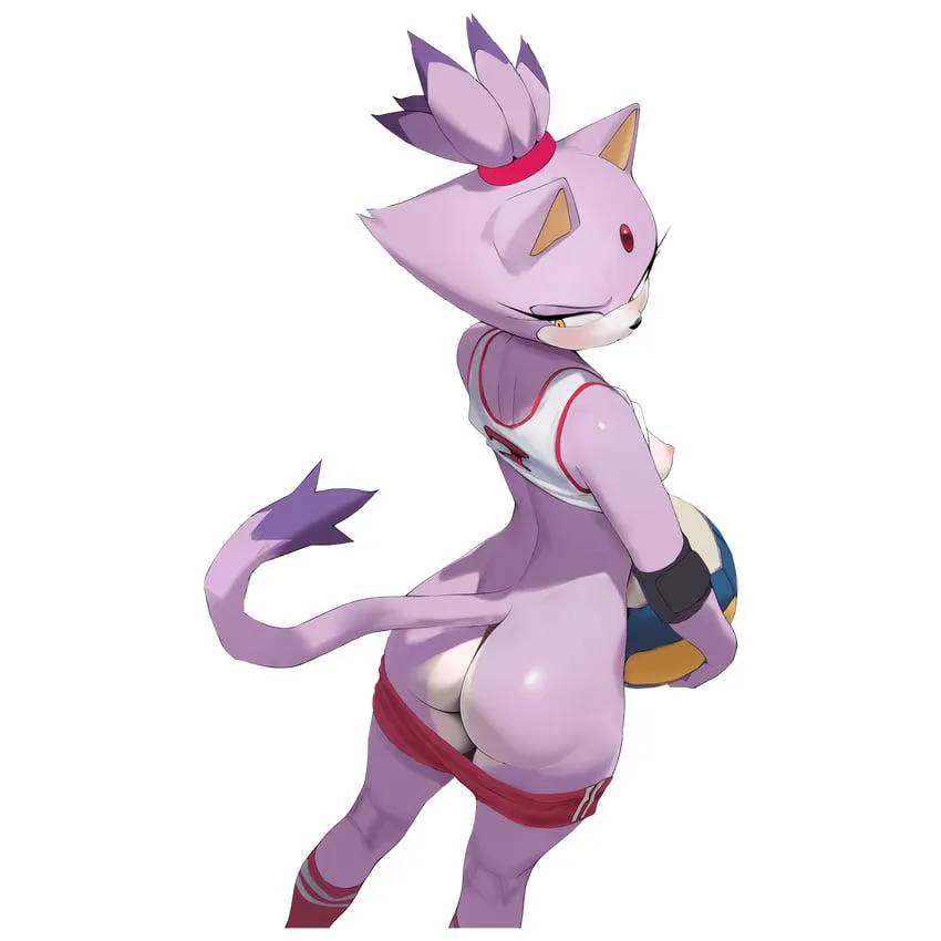 Have a game of Volleyball with Blaze [F] (smewed)