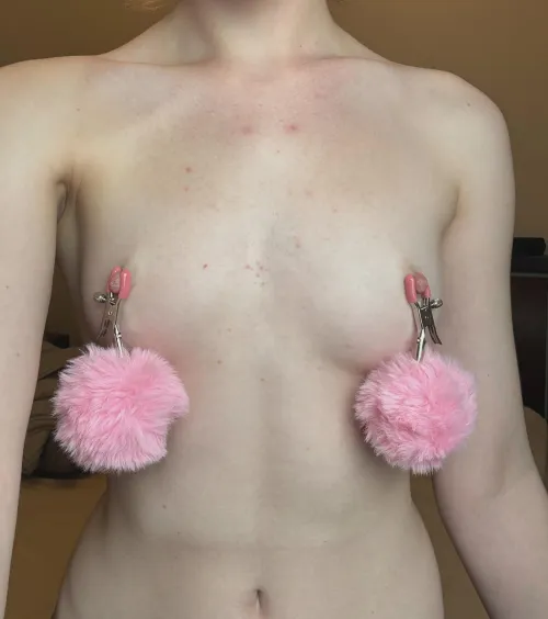 My small pale tits love clamps and pinches
