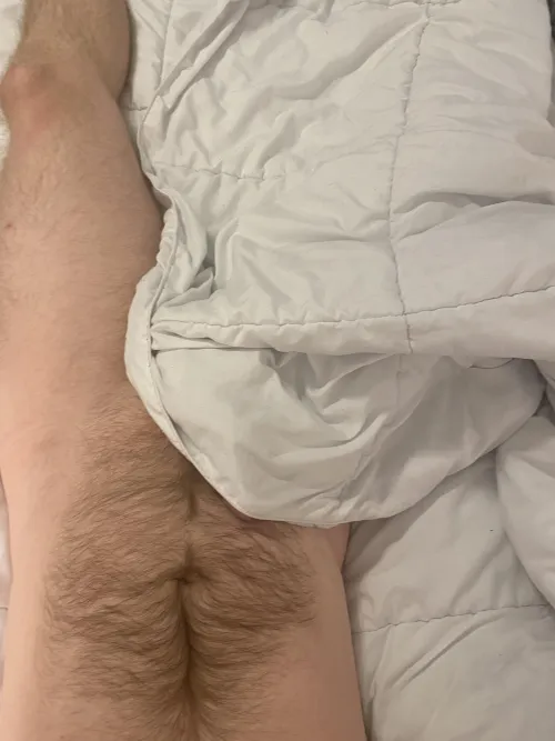 Early morning laziness