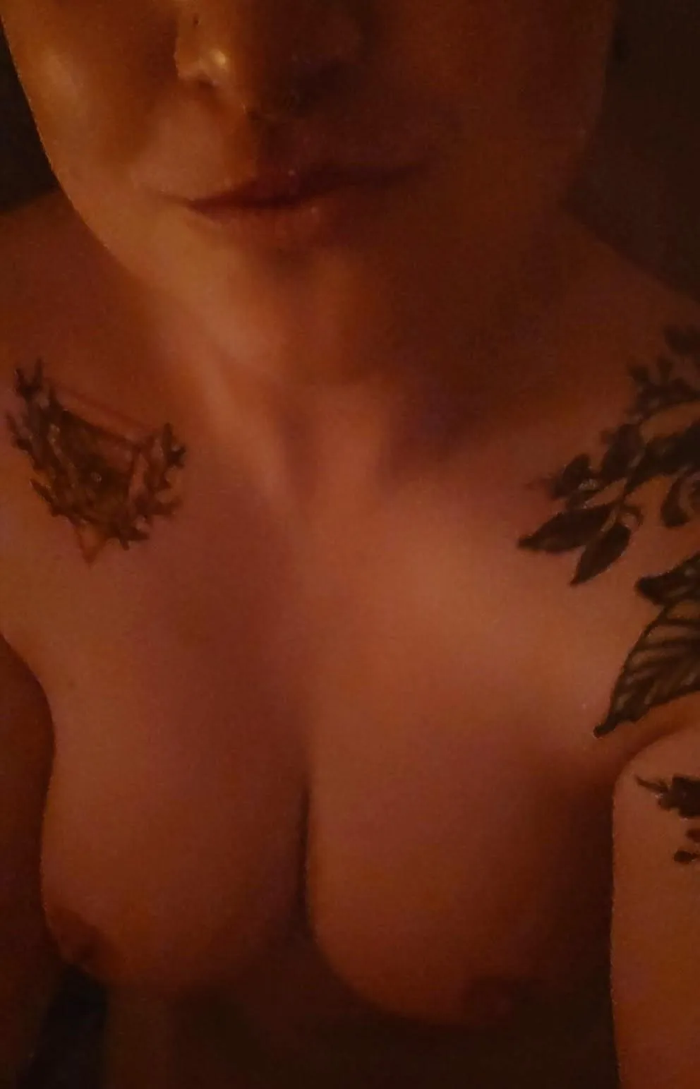 I've missed you, sexy redditors.