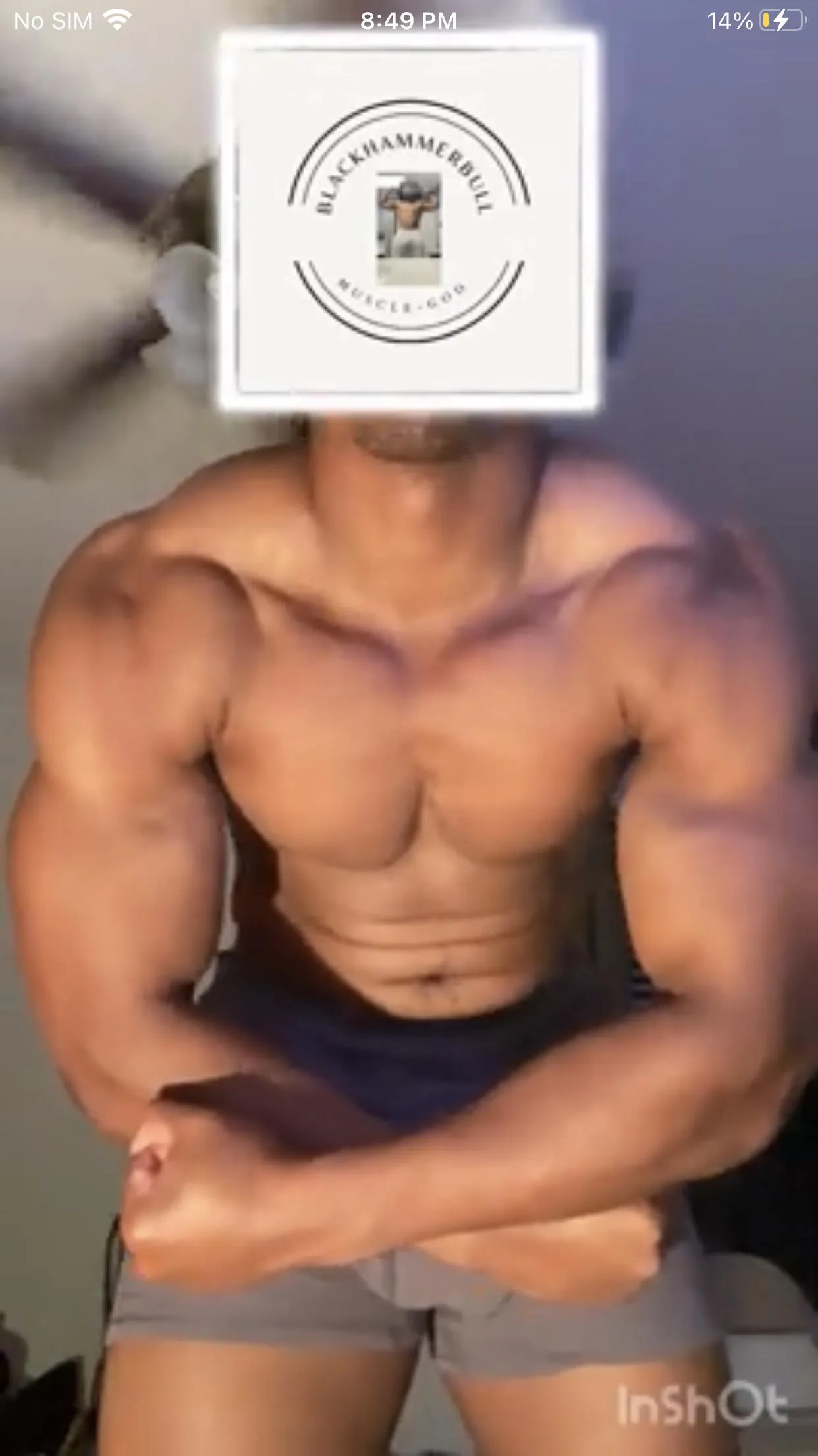 Blackhammerbull - link in my bio