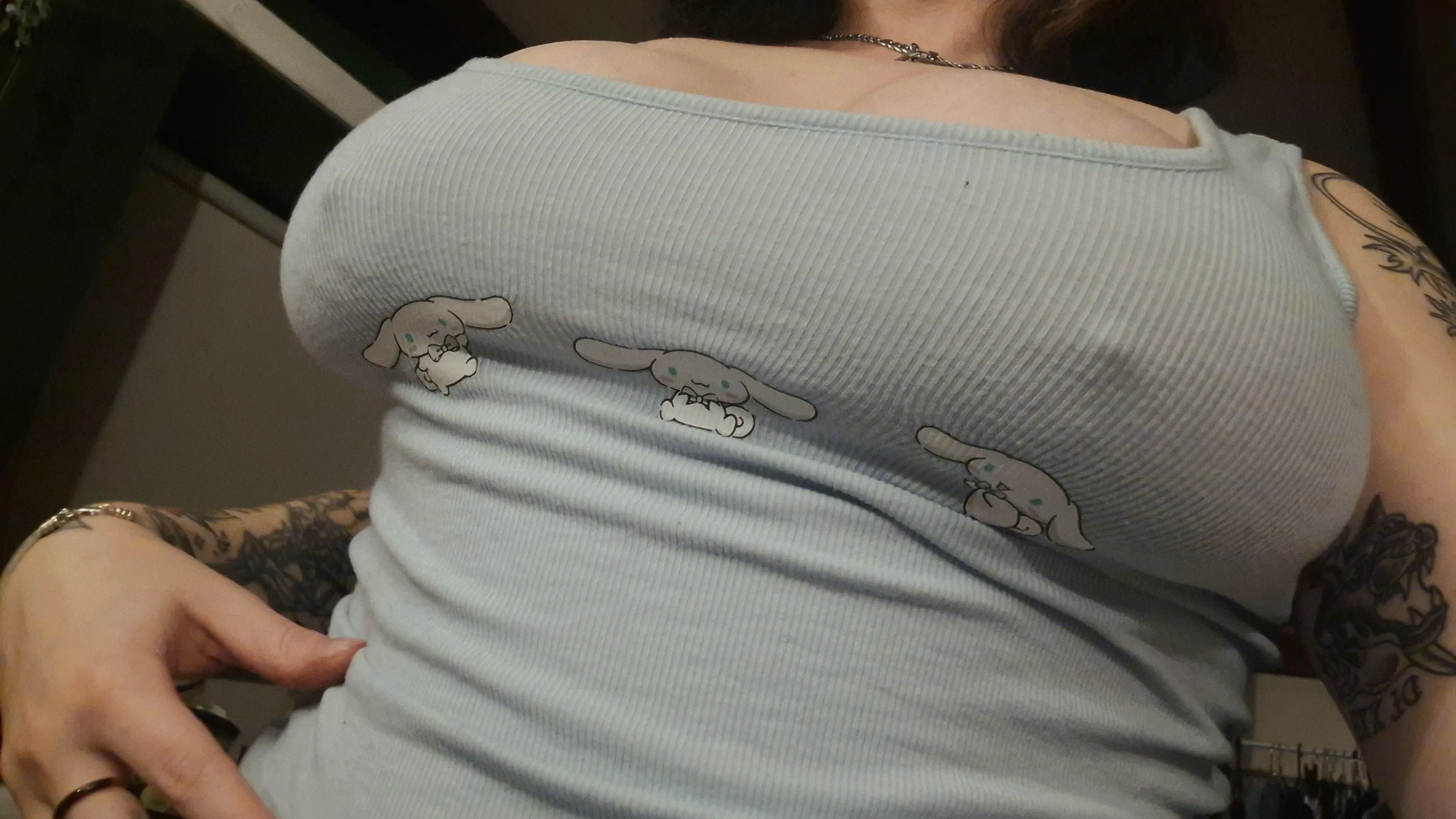 Count the bunnies not the pokies!!!