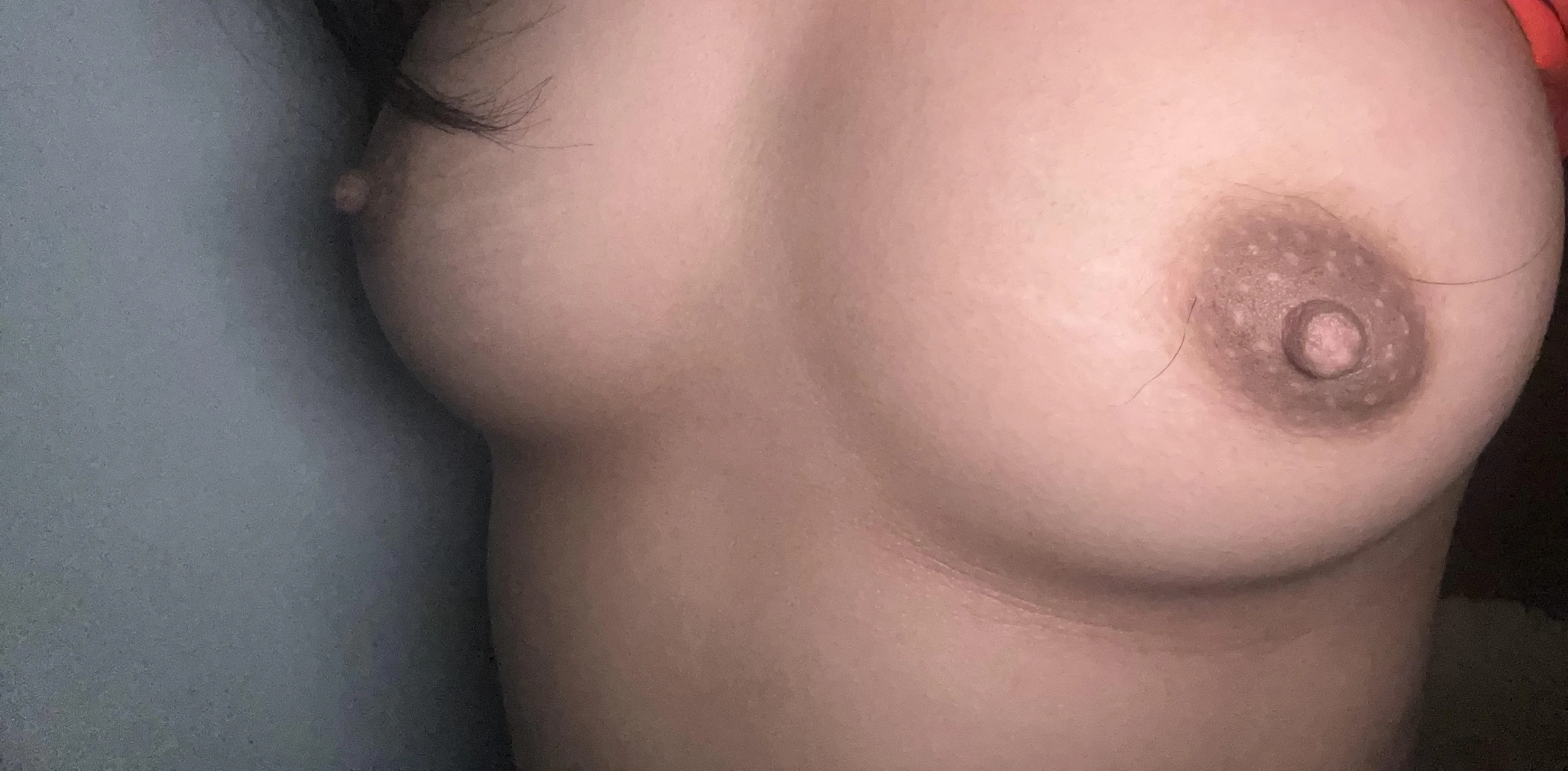 (f) Do you like nipple hair?