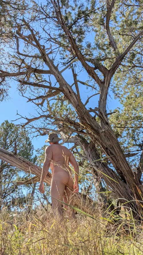 So freeing to be naked outside