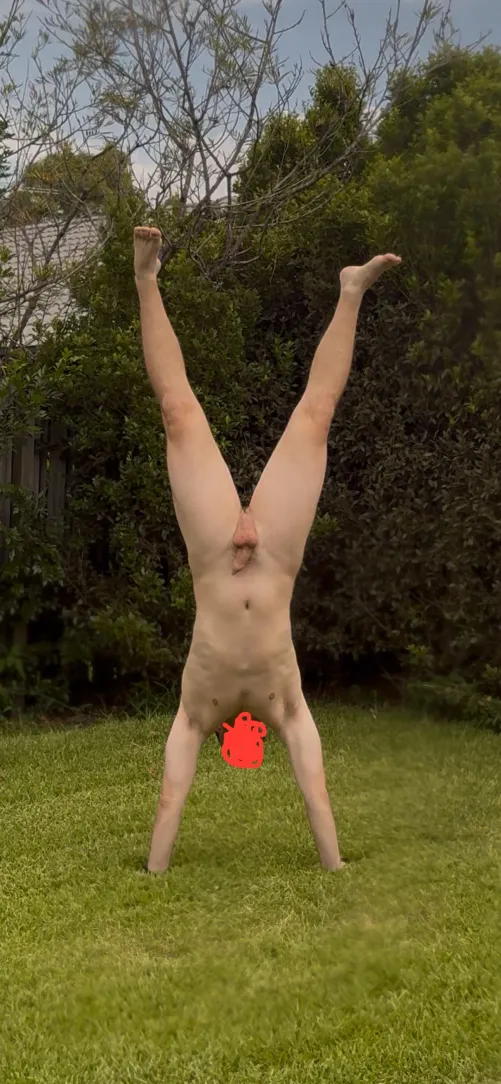 This is what happens when I get bored in my backyard