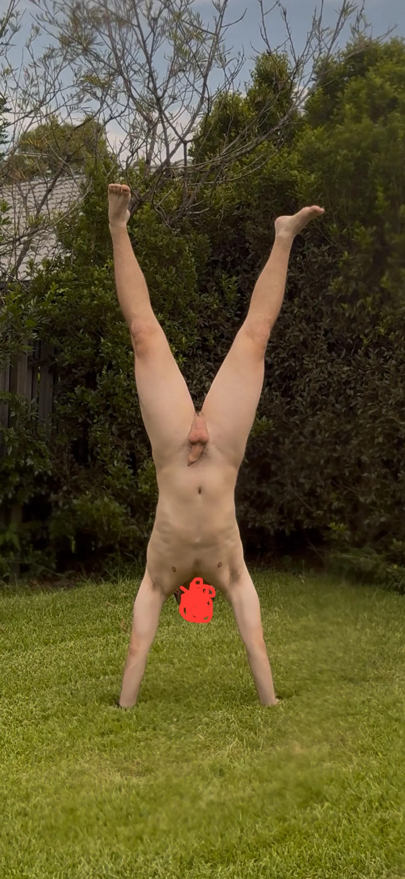 This is what happens when I get bored in my backyard