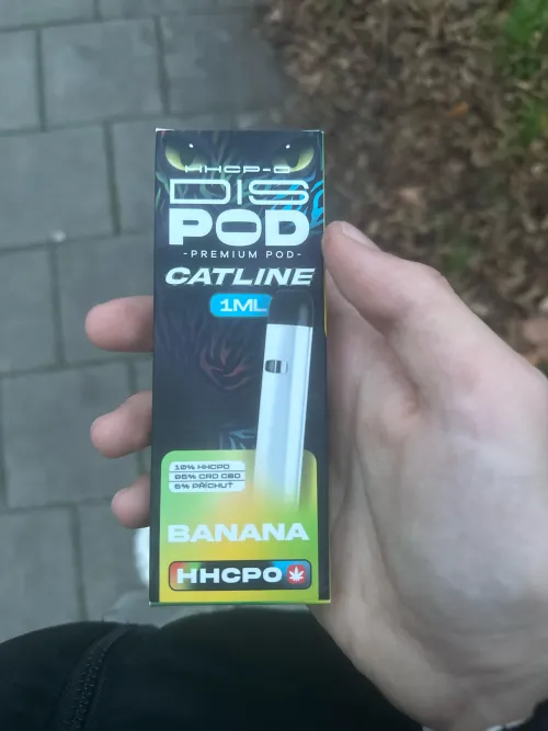 What can i expect from this?