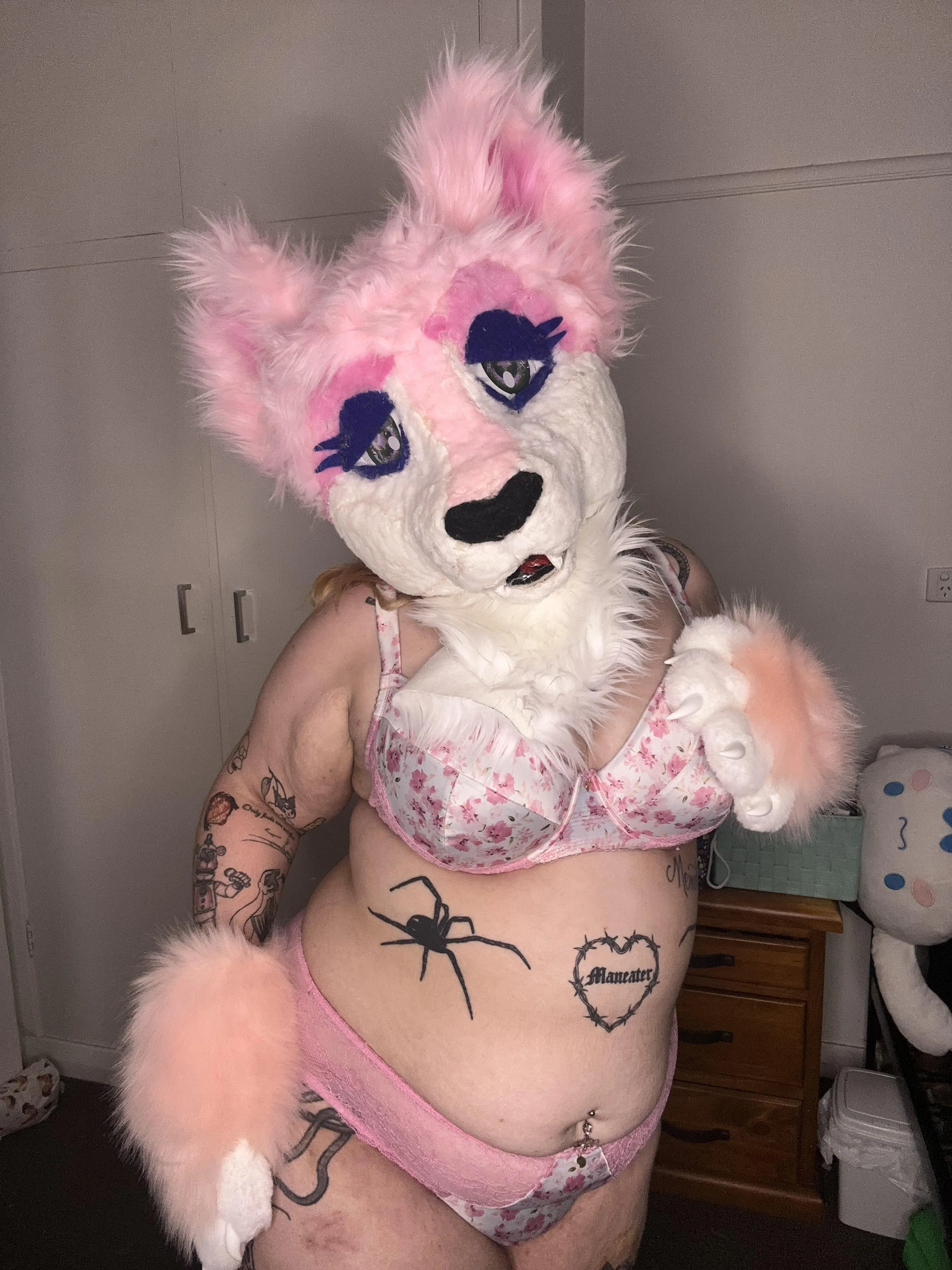 new fox in town 💕 (perkypawz)